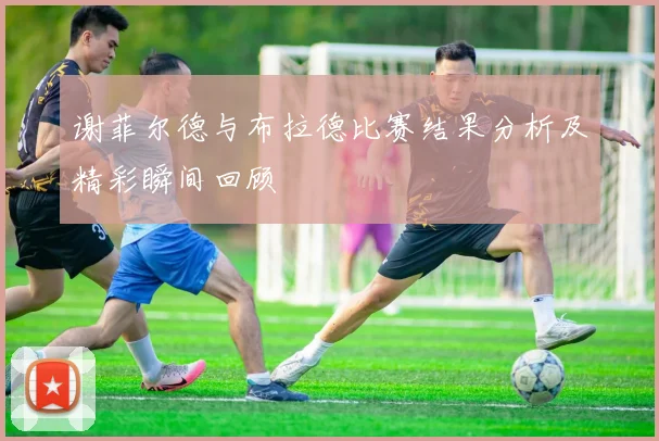 谢菲尔德与布拉德比赛结果分析及精彩瞬间回顾