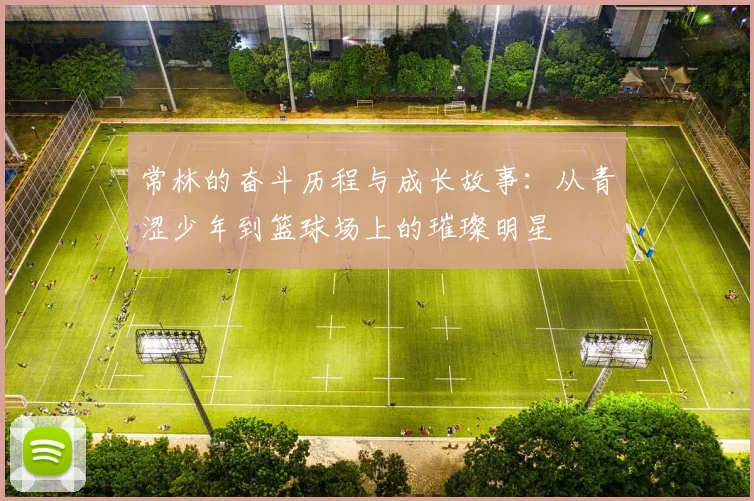 常林的奋斗历程与成长故事：从青涩少年到篮球场上的璀璨明星
