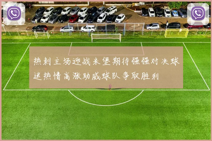 热刺主场迎战米堡期待强强对决球迷热情高涨助威球队争取胜利