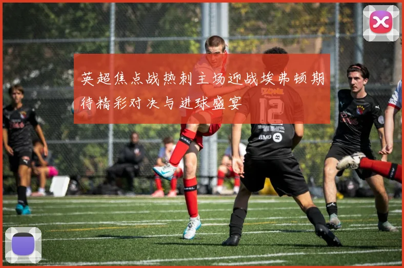 英超焦点战热刺主场迎战埃弗顿期待精彩对决与进球盛宴